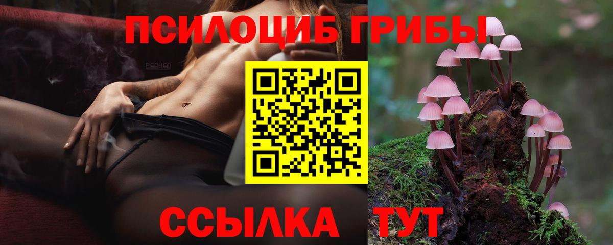 Галлюциногенные грибы GOLDEN TEACHER  Вход с VPN  Советск 