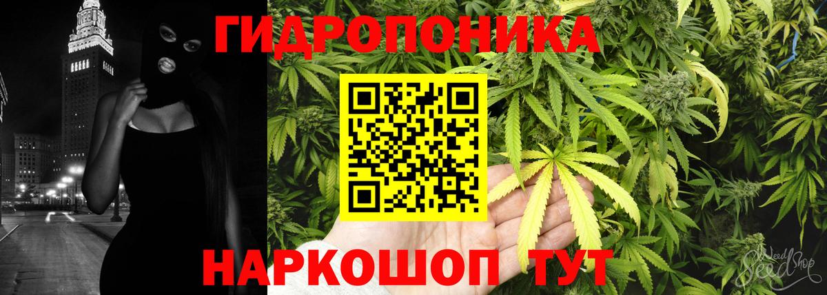 Конопля White Widow  Канабис план  Советск  Вход с VPN  Бошки марихуана гибрид 